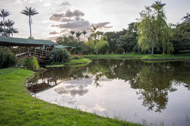 Bogotá Botanical Garden